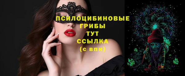 твердый Новокубанск