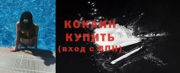 эйфоретик Новозыбков
