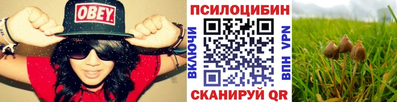 купить закладку  Знаменск  Галлюциногенные грибы мухоморы 