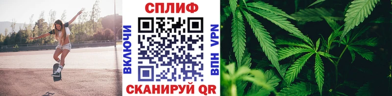 Шишки марихуана THC 21%  цена   Знаменск 